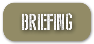 Briefing